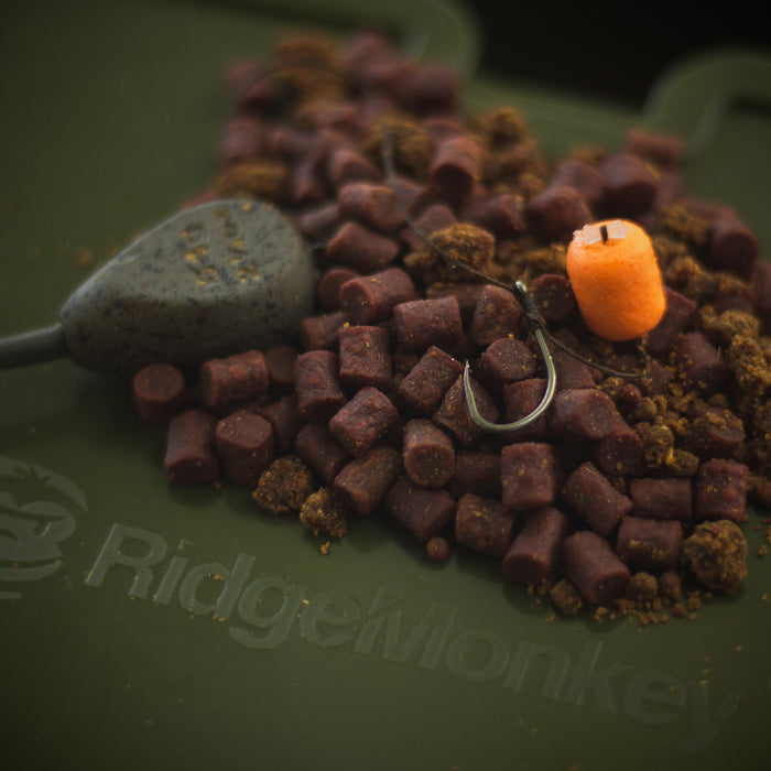 Best Rigs for Carp Fishing in 2023