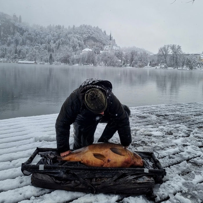 Best Rigs for Winter Carp Fishing